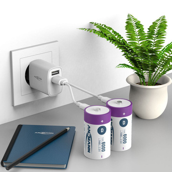 Akumulatory Li-Ion ANSMANN D 6000mAh 1.5V USB-C - 2szt.
